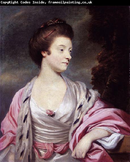 Sir Joshua Reynolds Elizabeth
